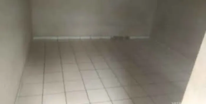 ALUGO KITINETS