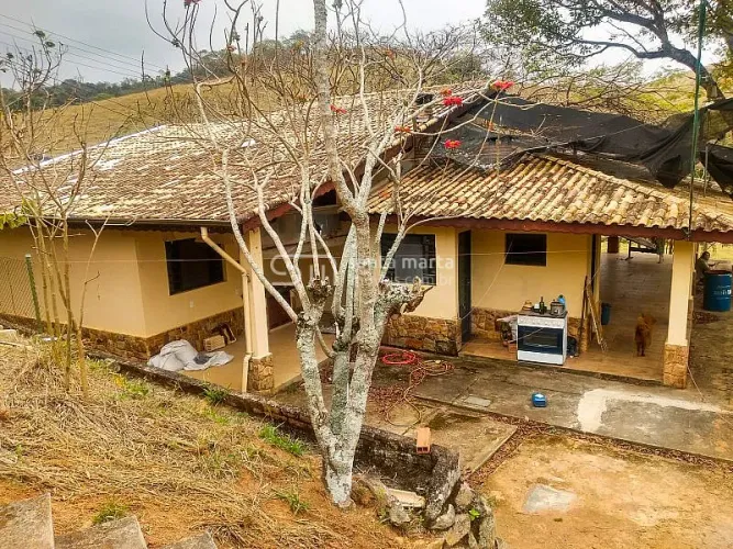 SÍTIO COM ÓTIMA SEDE /GADO LEITE/CORTE - LORENA - SP