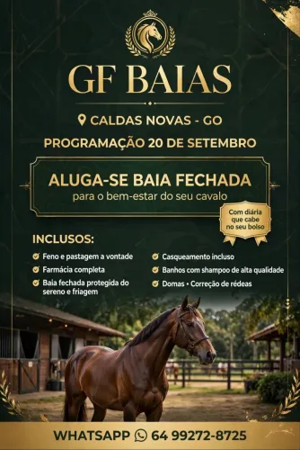 Aluga-se Baias para cavalos em Caldas novas-GO