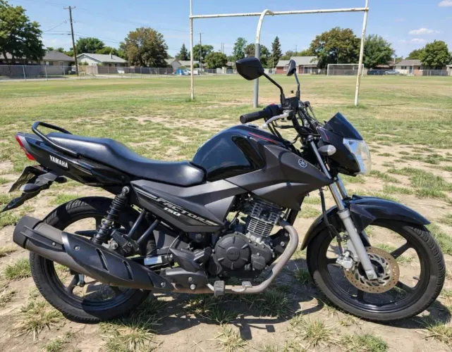 YBR factor 150 ED