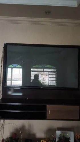 Tv philco 51 plasma 3D com defeito