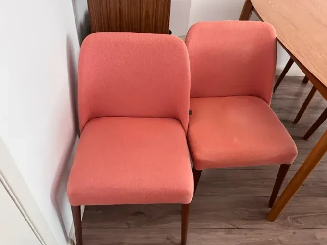 conjunto de 2 cadeiras de jantar coral Oppa