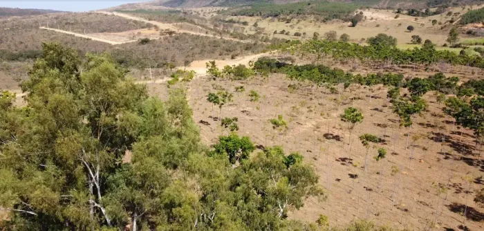 Imóvel para venda tem 20000 metros quadrados em Zona Rural - Cordisburgo - MG