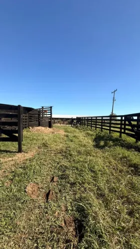 Sítio 5 Hectares na Madre - Rio, Pasto e Estrutura Completa para gado e Escriturada!
