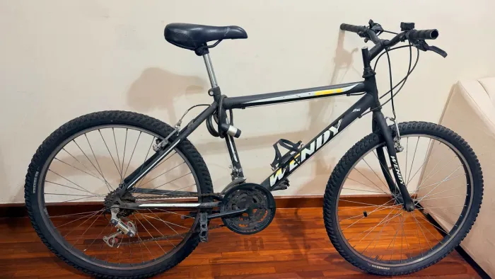 Bike Wendy Aro 26