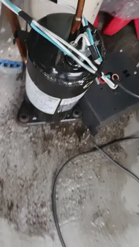 Compressor de geladeira ou câmara fria