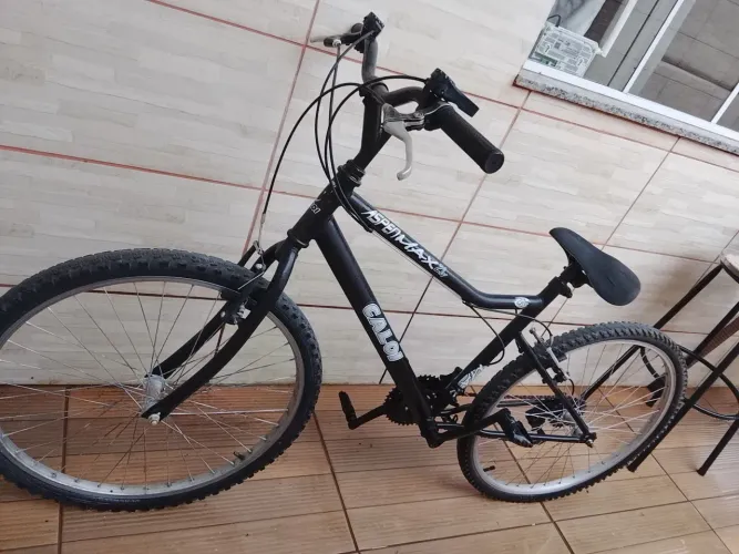 Bicicleta