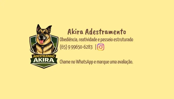 Adestramento e passeio 