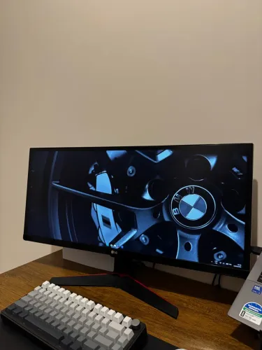 Monitor LG Pro Gamer Ultrawide 29?