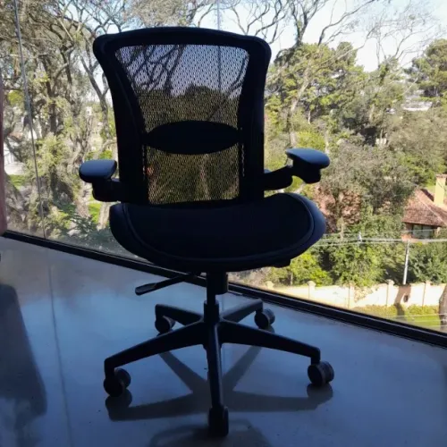 Cadeira Ergonômica Flexform Flextropic - Excelente Estado