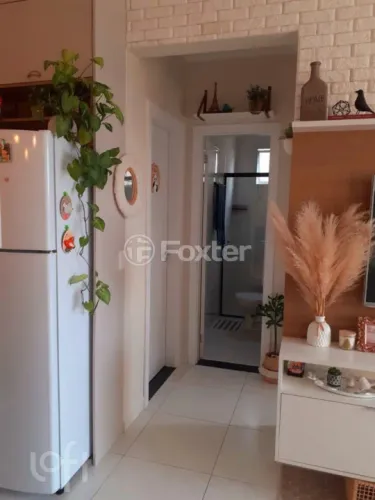 Apartamento à venda Rua Osvaldo Rogério Braga, Ingleses do Rio Vermelho - Florianópolis