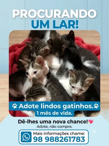 Adote.Salve uma vida!