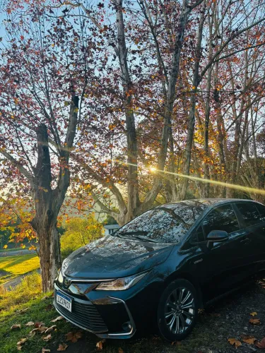 Toyota Corolla Altis Hybrid 1.8 16V Flex Aut. 2020