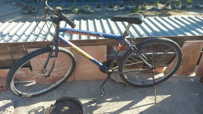 Bicicleta