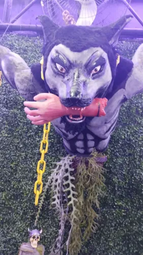 Cenário para Halloween ou festa temática, aluguel ou venda.