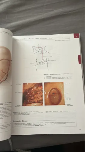 Sobotta