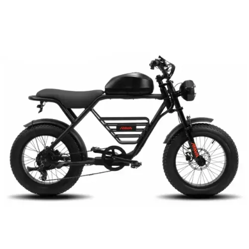 Bicicleta Elétrica E-Volve 750w