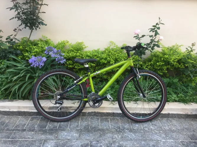 MB Raleigh aro 26