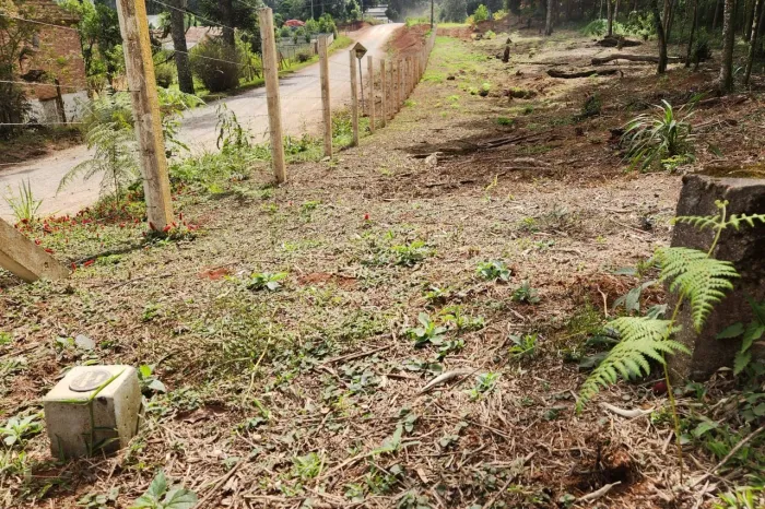 Área Rural à Venda - 24.196 m² | São Mateus do Sul - Colônia Iguaçu