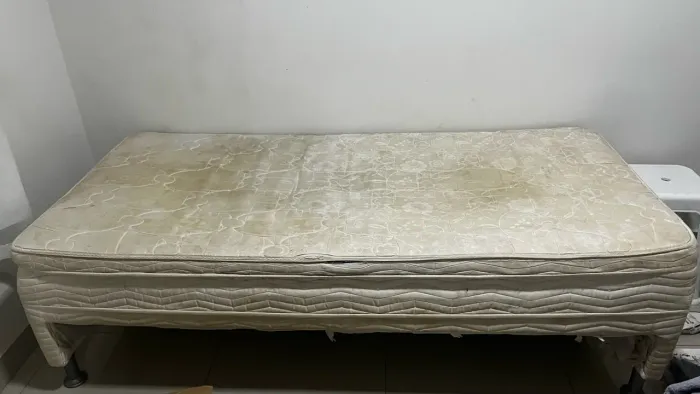 Cama