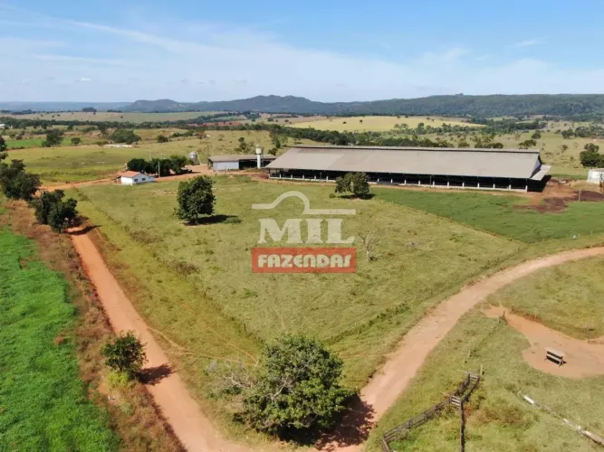 Fazenda 18,38 alqueires (89 hectares) Santa Cruz de Goias - Go