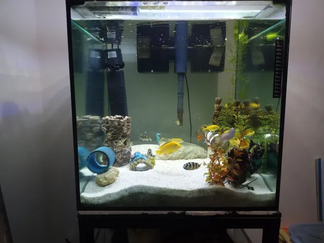 Vendo Aquário 50 X 50 X 50 - 125 Litros<br><br> 