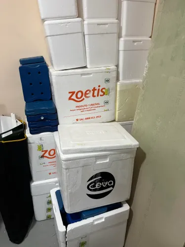 Caixa Isopor vários tamanhos e gelo reutilizáveis 
