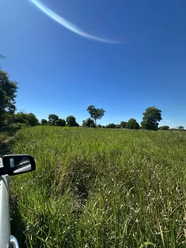 Fazenda à venda - COCALINHO-MT
