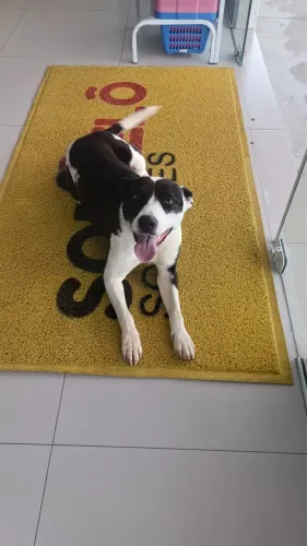 Doação