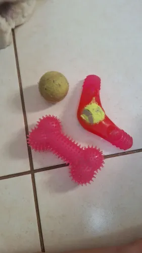 Brinquedo pet cachorro