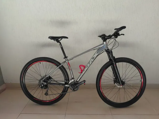 Bicicleta Audax