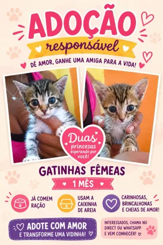 Animais de estimação para doação