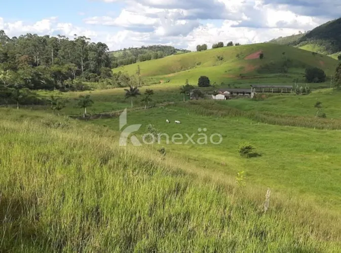 Fazenda 40 alqueires à venda- R$ Jardim Prado - Santa Branca/SP - SEU FUTURO REFÚGIO E EMP