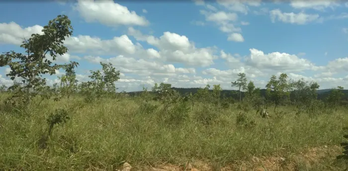 Imóvel para venda possui 20000 metros quadrados em Zona Rural - Cordisburgo - MG