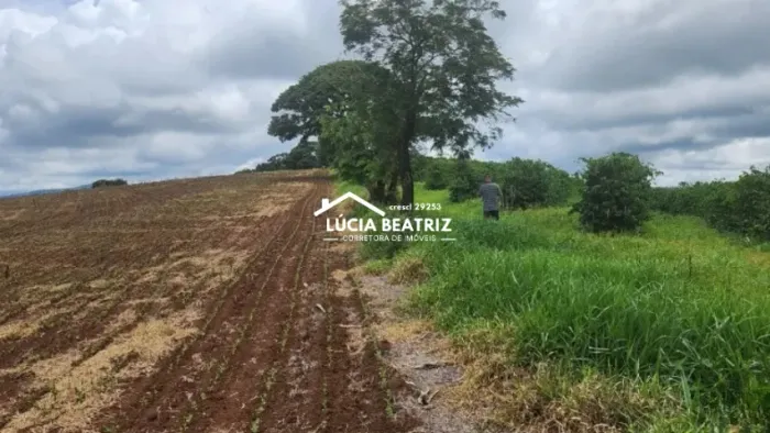 Lugar Lindo! Ótimo Sítio com 27,83 hectares localizado Cambuquira, Sul de Minas