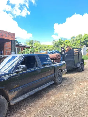 Reboque pra cavalo