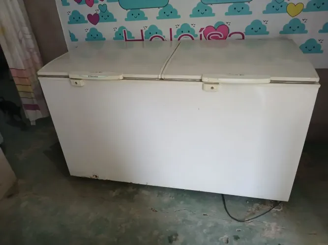 Vendo essa freezer Eletrolux grande de duas portas 