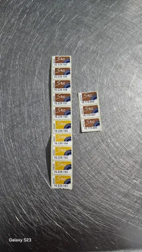 Selinhos festival 13 por 50 reais