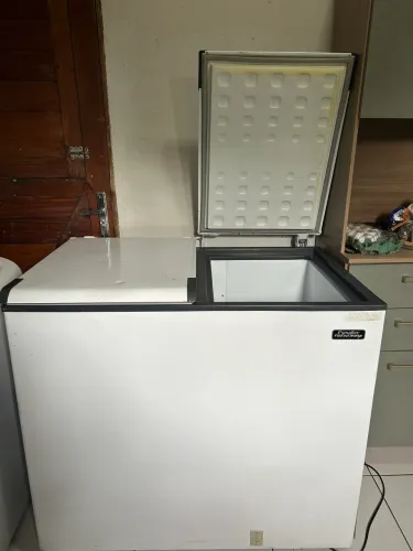 Vende-se freezer esmaltec 325 litros