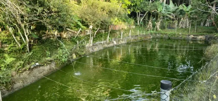 Chácara em juquitiba , no km341 da regis Bitencourt