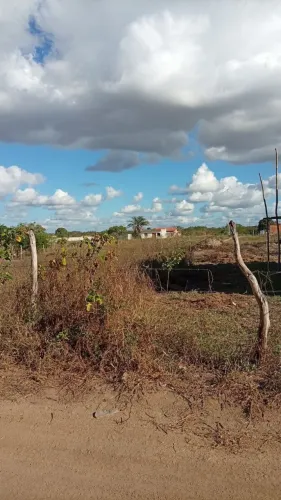 Teofilândia