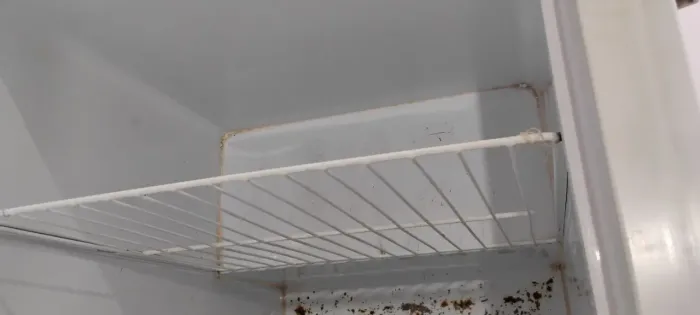 Freezer horizontal branco fricon duas tampa