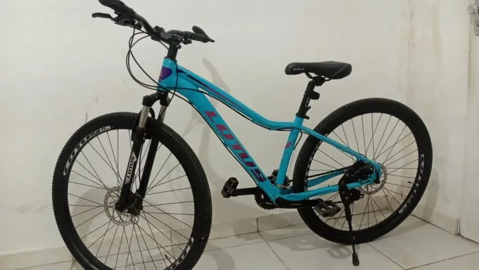 Vende-se bicicleta lotus, aro 29.