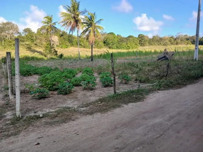 Terreno à venda próximo a Praia da Pipa