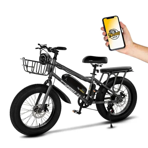 Bicicleta Elétrica 750w