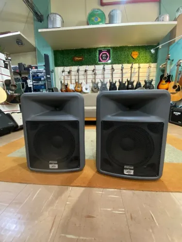 CAIXA PASSIVA PEAVEY PR-12 (SEMI NOVA)
