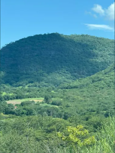 chacra no recanto da seriema sentido Taboas , na saída da estrada da produção