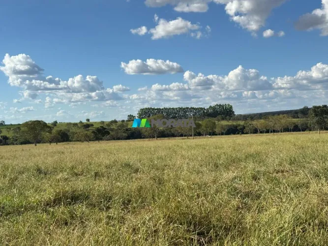 FAZENDA À VENDA - 137,70 HECTARES - POMPÉU (MG)
