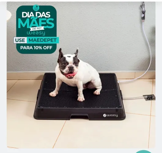 Weasy dog - sanitário de cachorro 
