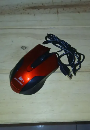 Mouse